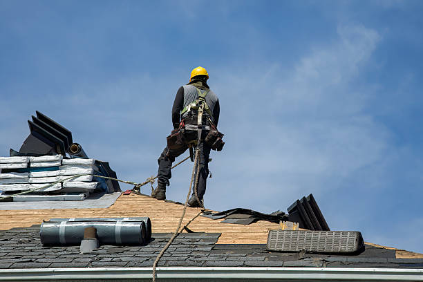Professional Roofing technician working in Castro Valley, CA